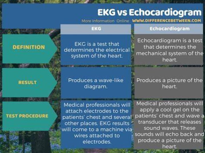What is the Difference Between ECG and Echocardiography